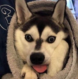 Meet your Posher, Clay